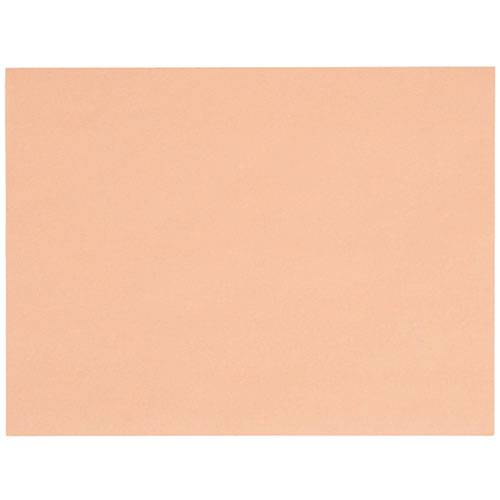 Steak Paper
