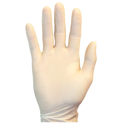 The Safety Zone Powder-Free Disposable Latex Gloves