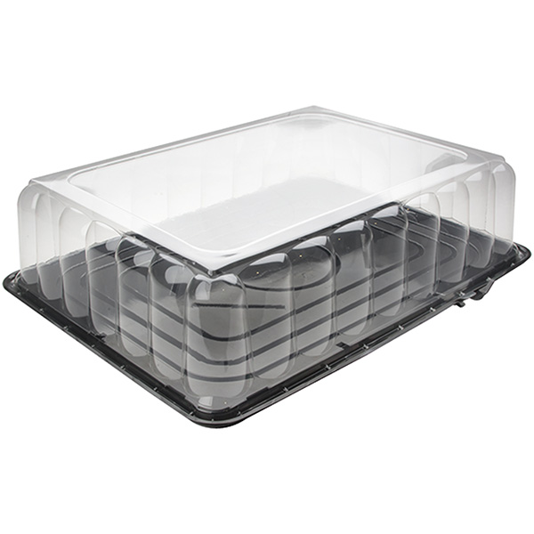 Pactiv Evergreen Cake Base with RoseDome™ Lid