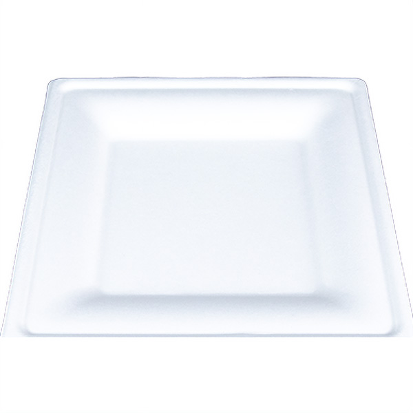 SCT® ChampWare Square Dinnerware Plate