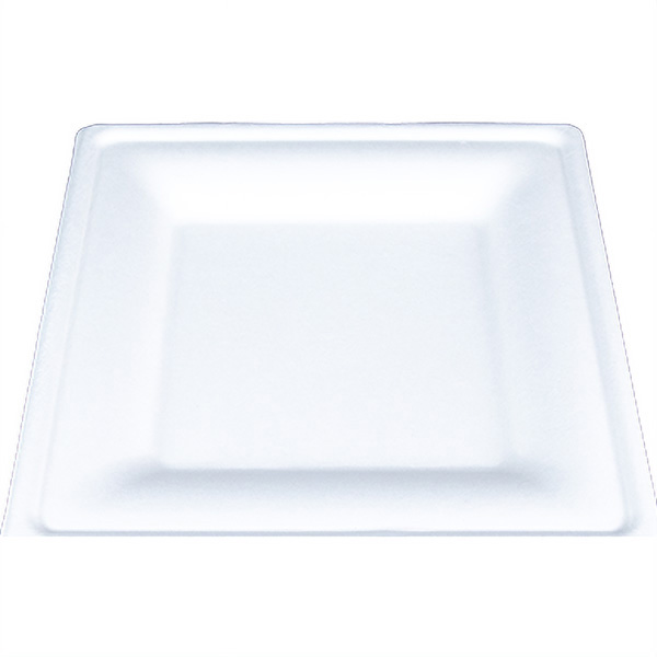 SCT® ChampWare Square Dinnerware Plate