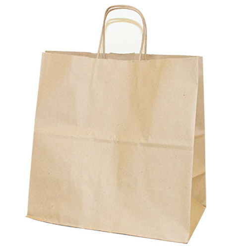 Flexocraft Jr Mart Paper Shopper Bag with Twine Handle
