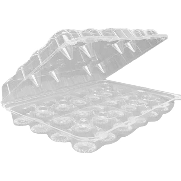 Hinged Muffin Container with Dome Lid