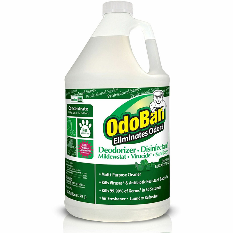 OdoBan Eucalyptus Multi-purpose Deodorizer Disinfectant