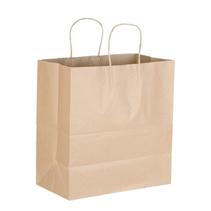 AmerCareRoyal® Twisted Handle Paper Bag