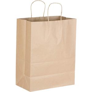 AmerCareRoyal® Twisted Handle Paper Bag
