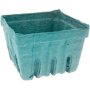 Pactiv Evergreen Berry Basket