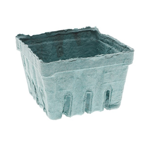 Pactiv Evergreen Berry Basket