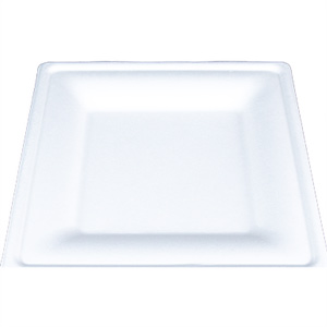 SCT® ChampWare Square Dinnerware Plate