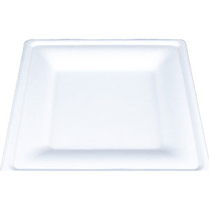 SCT® ChampWare Square Dinnerware Plate