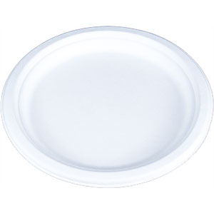 SCT® ChampWare Dinnerware Plate
