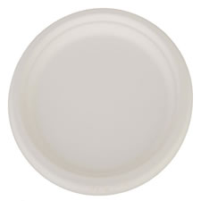 SCT® ChampWare Dinnerware Plate