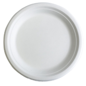 Better Earth Sugarcane Collection Compostable Fiber Plate