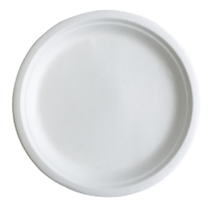 Better Earth Sugarcane Collection Compostable Fiber Plate