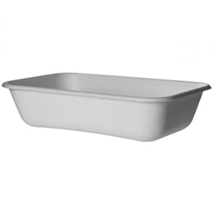 Eco-Products WorldView™  Rectangular Food Container
